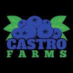 Fruit Farm Worker Job in Pemberton, WA, Australia