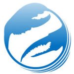 . AMCAAJ INTERNATIONAL RECRUITMENT AGENCY